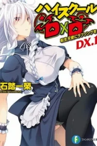 Старшая школа DxD New OVA